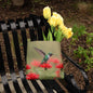 Hummingbird Tote Bag for Spring